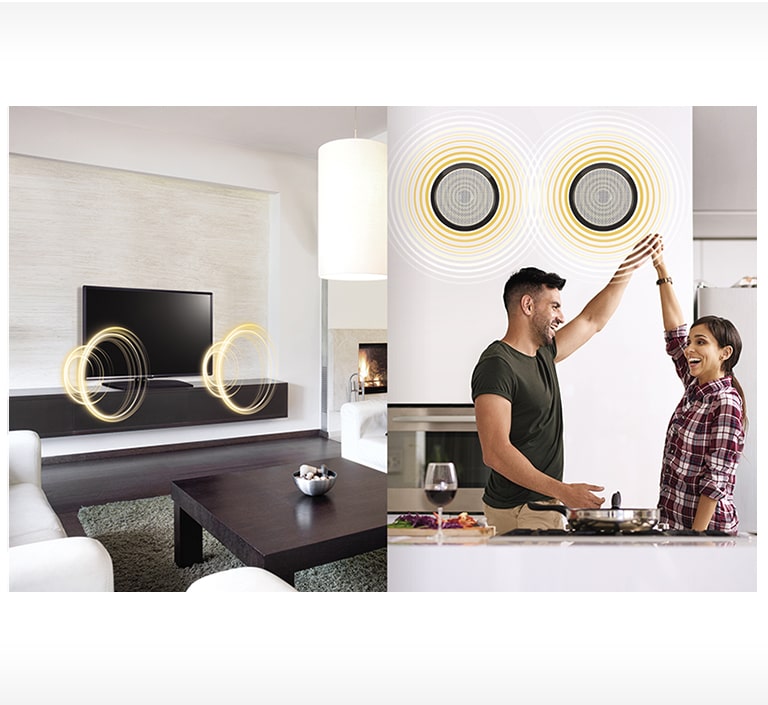 14_External-Speaker-Out_1534134687517