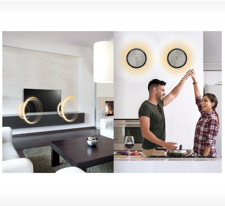 21_External-Speaker-Out_1529456970719