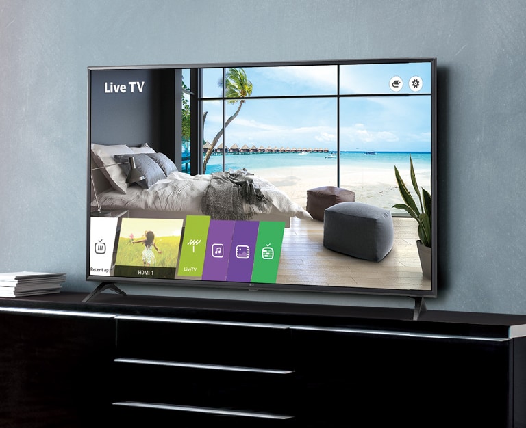A Standard Smart Hotel TV with Pro:Centric Smart2