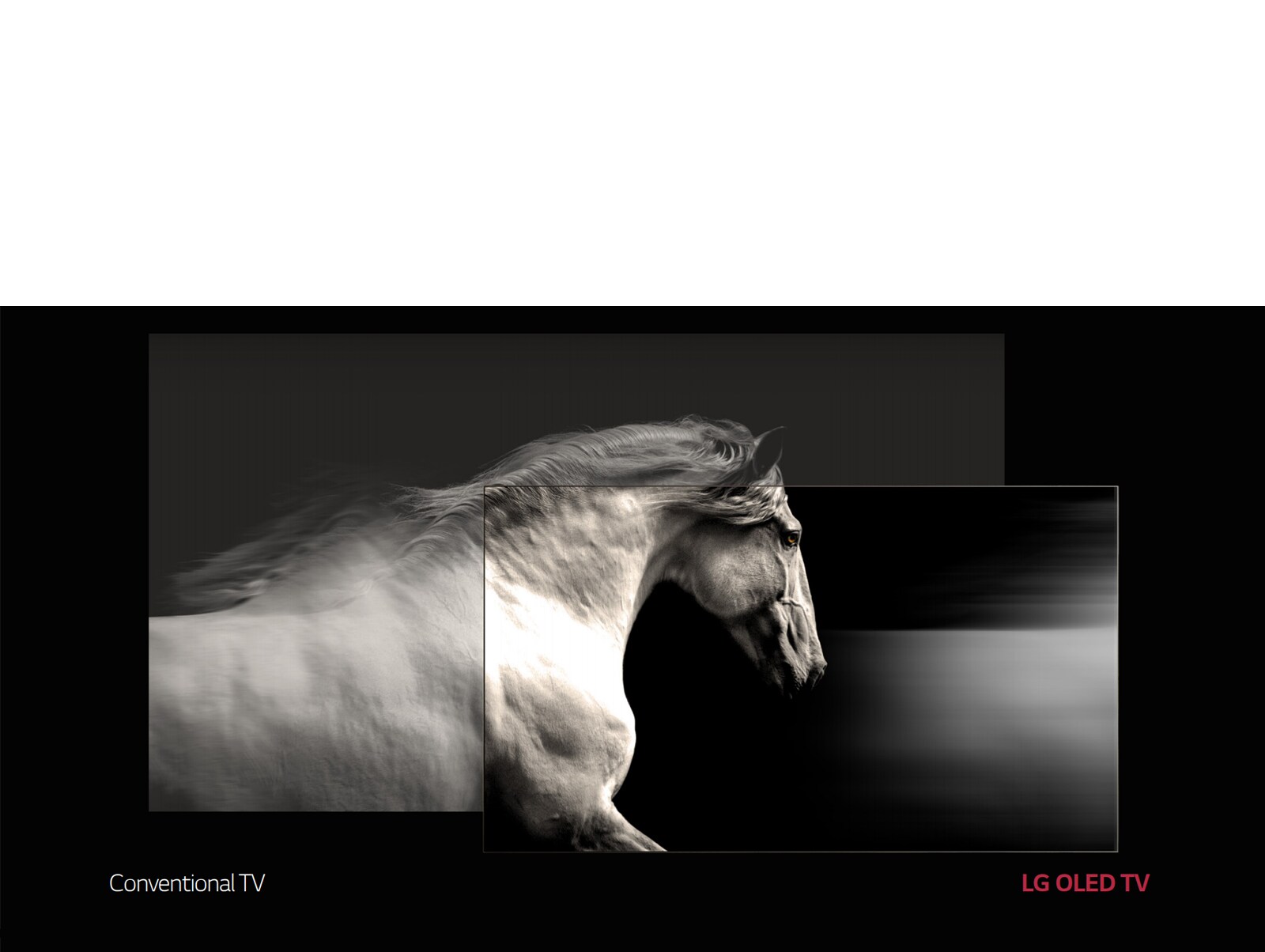 WT980H-02-Perfect Black. Intense Color-Hotel TV-Commercial TV-ID_1568942219367