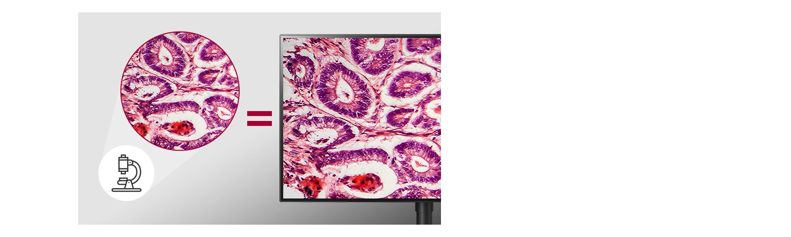 pathology mode offering imaging results as detailed and accurately colored as seen under a microscope