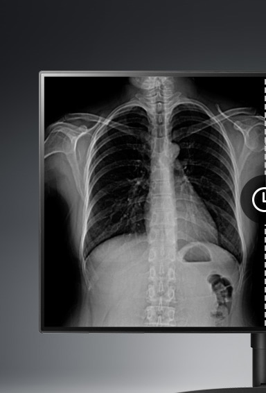 Conventional monitor display 