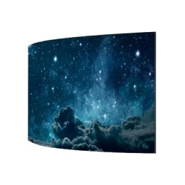 Curvable OLED Signage2