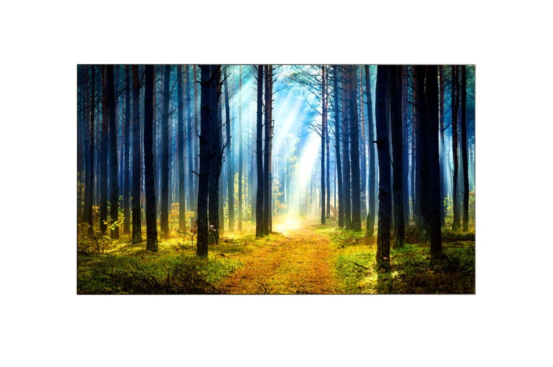LG 65'' Pro:Centric Wallpaper OLED Hotel TV, 65WT980H (EU)
