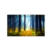 LG 65'' Pro:Centric Wallpaper OLED Hotel TV, 65WT980H (EU), thumbnail 1