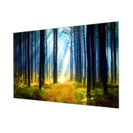 65" Pro:Centric Wallpaper OLED Hotel TV2