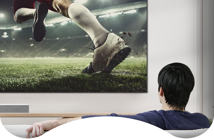 Install the large screen on a wall of your broad home cinema. Delicate and vivid colors and contrasts let you meticulously review complex or high-resolution materials
