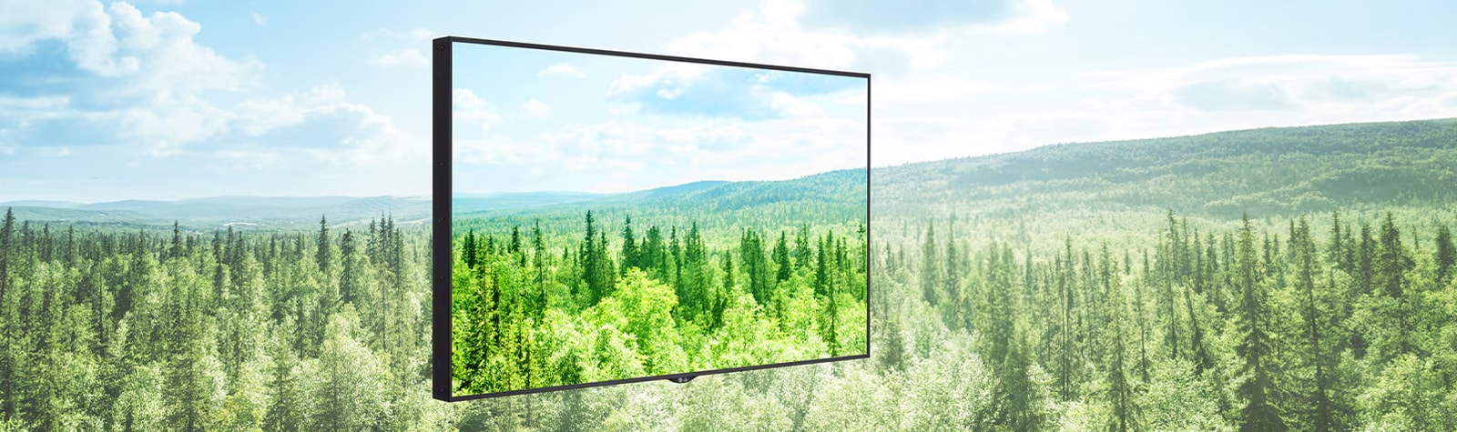 Carbon Footprint Certification