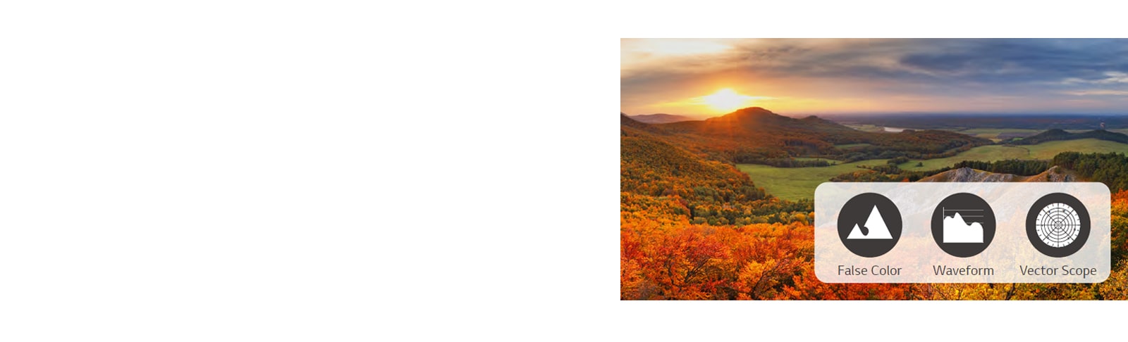 Through analyzing the video signal, the False Color, Waveform, and Vector Scope information is visualized and shown. 