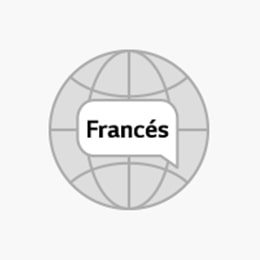 There are four light gray globes with English, Francés, Italiano, Español text written on each globe.