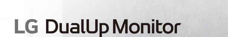 LG DualUp Monitor