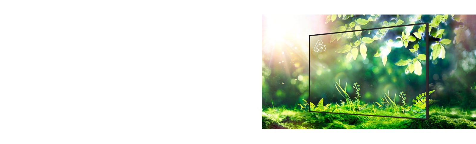 LG strives for a sustainable future by obtaining various certifications such as FCC EMC Class B or EPEAT*. * the United States Only