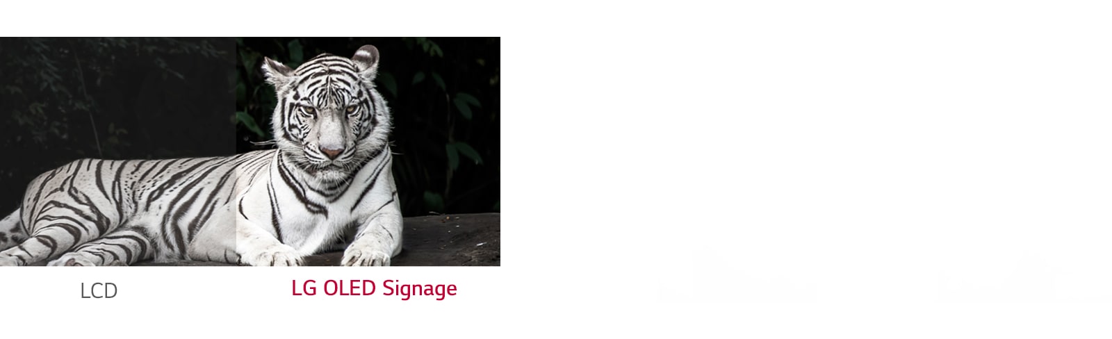 LG OLED Signage shows better contrast between black and white than ordinary LCD.