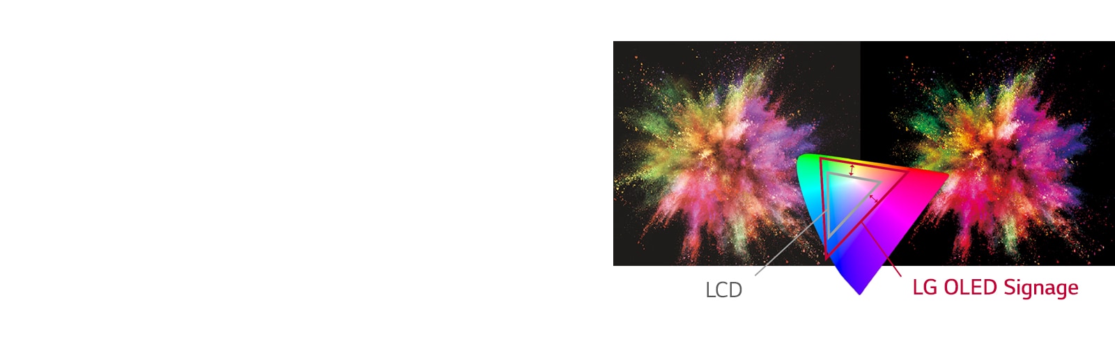 LG OLED Signage has a variety of colors rather than LCD to express the object more vividly.