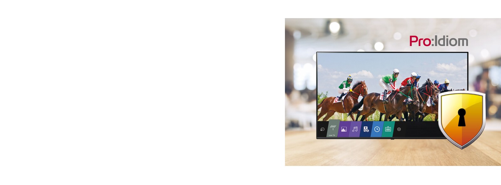 Using Pro:Idiom can prevent illegal copying of content.