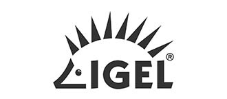 the monitor offering IGEL for operation system