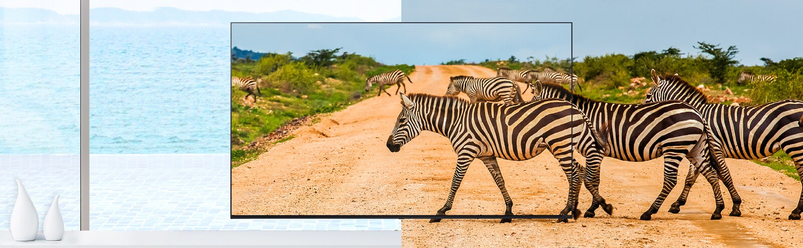A TV's bezel is so thin that it reduces the difference between the screen and the real thing, so the zebras on the screen look lively.