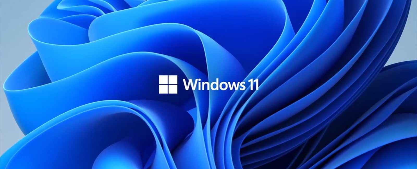 It shows the Windows11 logo and background image.