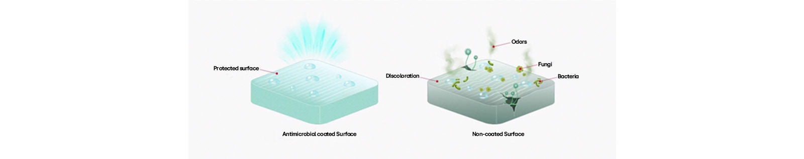 The left shows a clean, protected surface, while the right is discolored and contaminated with bacteria, mold, and odors.