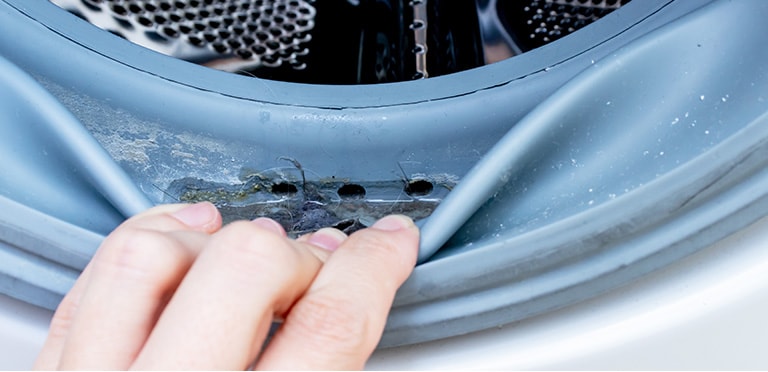 The image shows a zoomed-in view of the rubber gasket inside a washing machine door, contaminated with various substances.