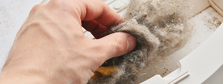 A hand taking away the dirt from vacuum cleaner's suction inlet