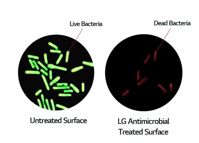 Antimicrobial Protection