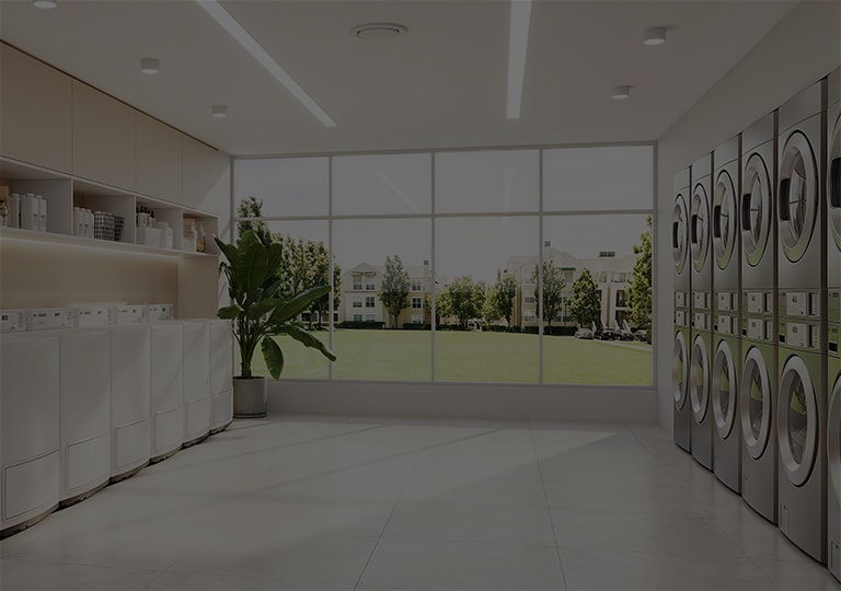 A modern, well-lit laundromat with LG commercial washers and dryers neatly aligned. Large windows offer a view of a green outdoor area, bringing in plenty of natural light.