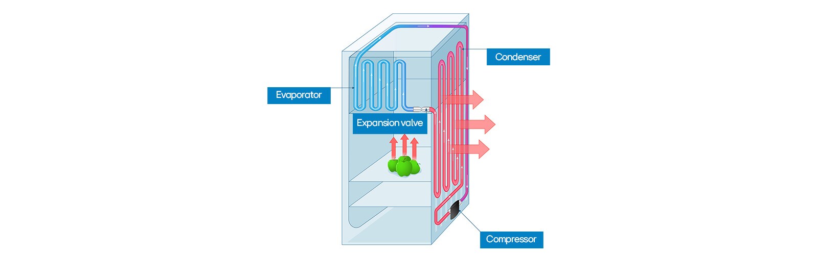 Why Does a Refrigerator Need a Compressor? l Business l LG Global