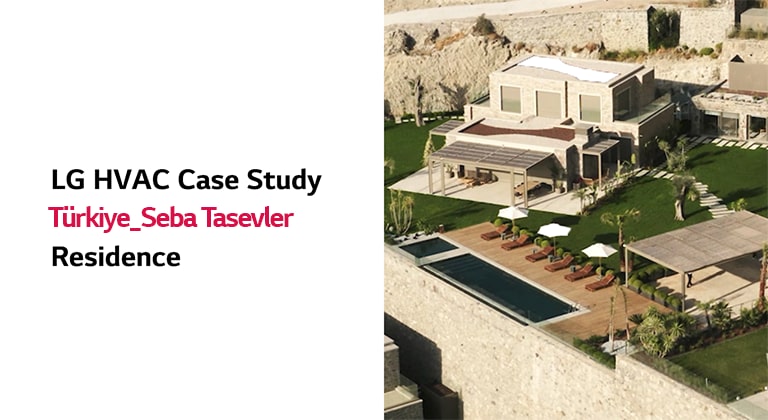 Yard in front of the house