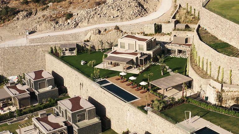 Yard in front of the house