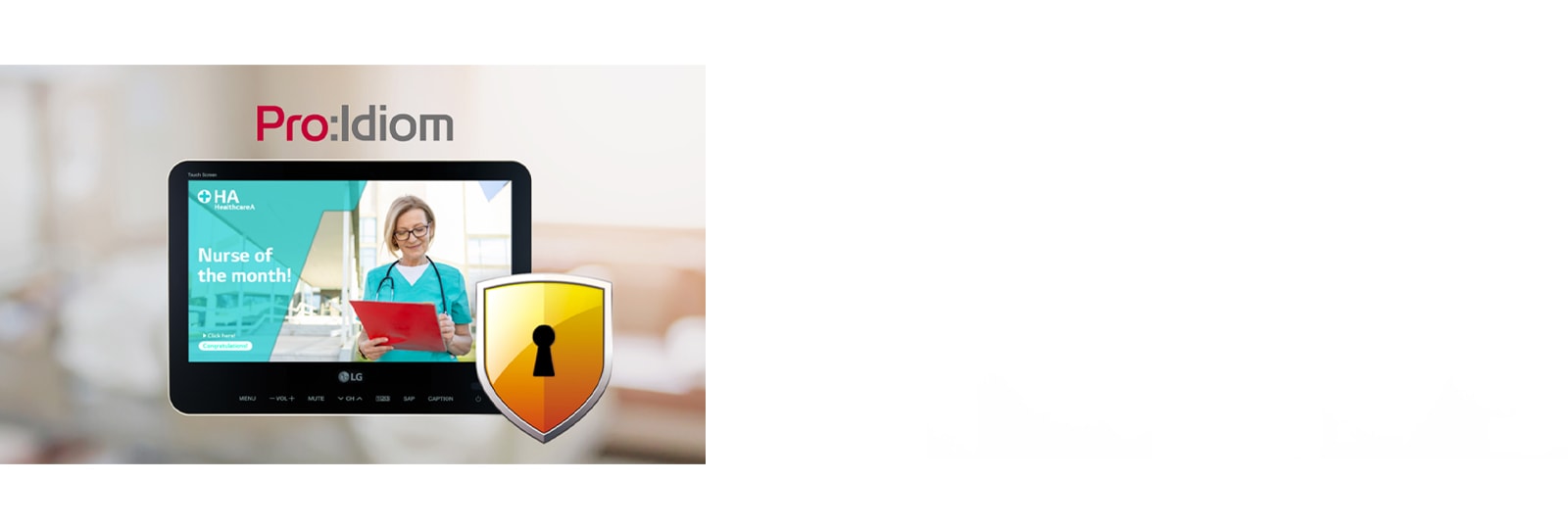 The Pro:Idiom is preventing illegal copying of content. 