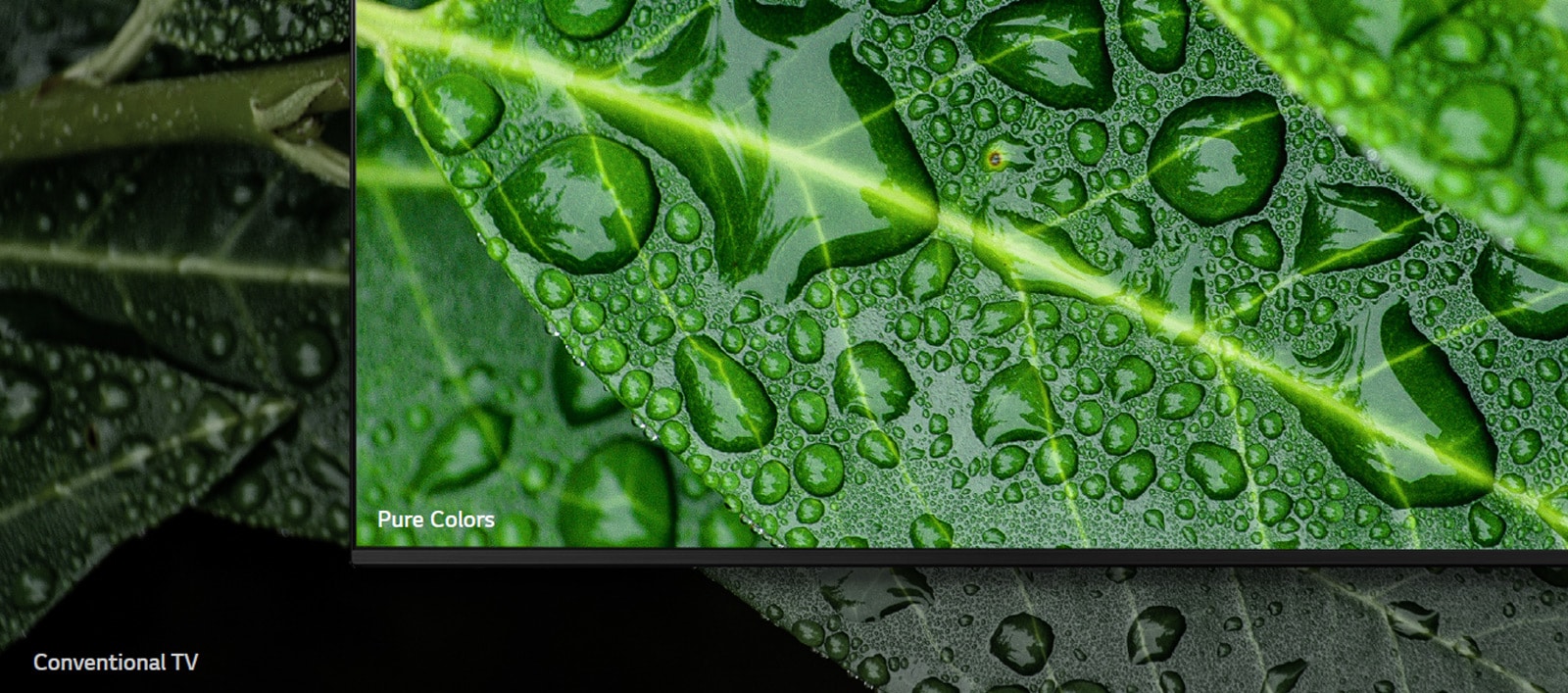 Real 4K Made by Pure Colors