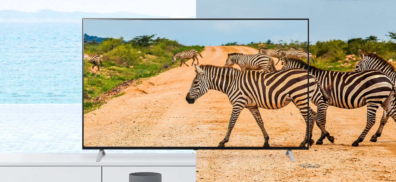 A TV's bezel is so thin that it reduces the difference between the screen and the real thing, so the zebras on the screen look lively.
