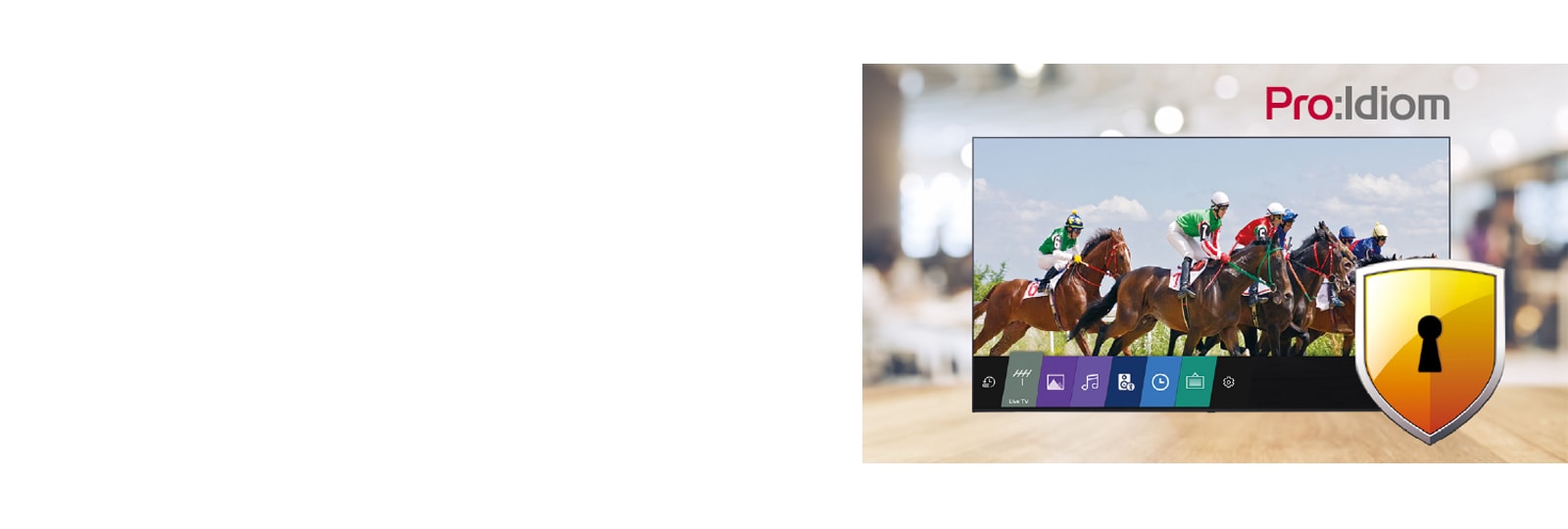 Using Pro:Idiom can prevent illegal copying of content.