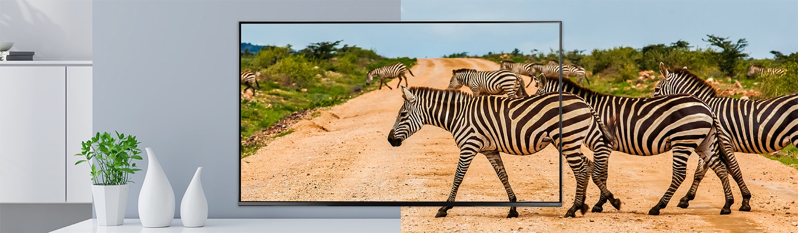 A TV's bezel is slim that it reduces the difference between the screen and the real thing, so the zebras on the screen look lively.