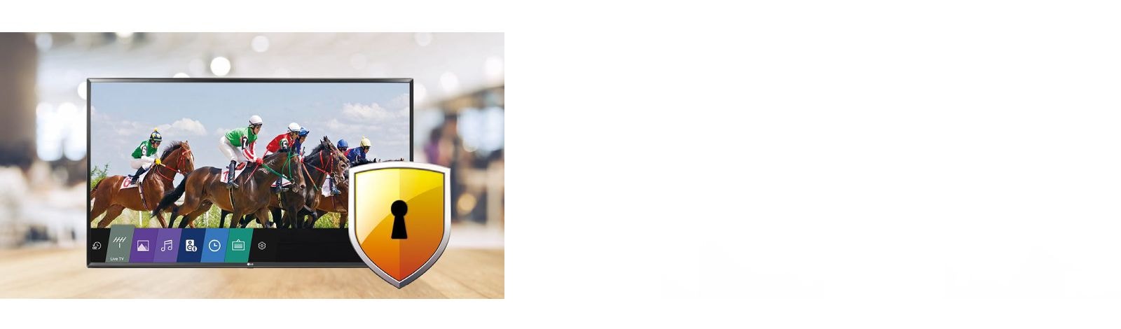 Using Pro:Idiom can prevent illegal copying of content.