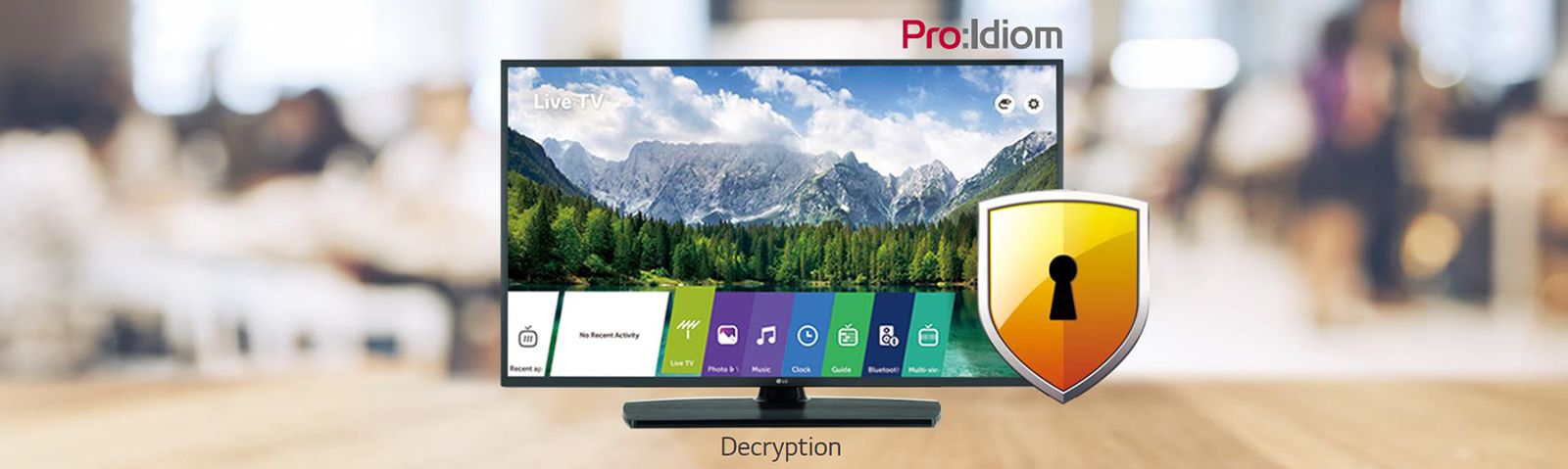 Using Pro:Idiom can prevent illegal copying of content.