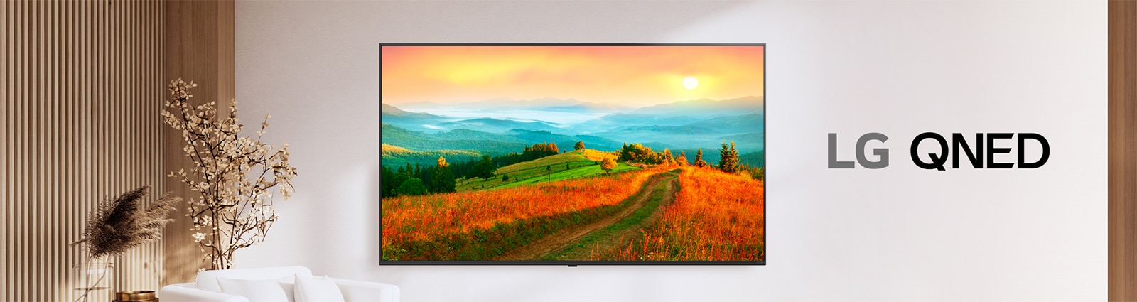 An LG QNED TV displays a screen with vivid colors and accurate color reproduction.