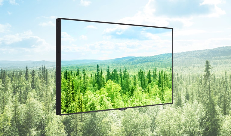 Carbon Footprint Certification2