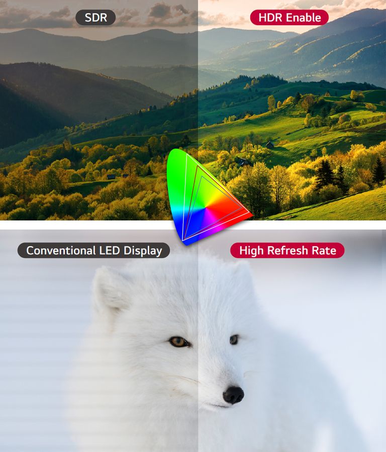 A vivid HDR-enabled screen and a screen with a high refresh rate displaying the exact color are being shown.