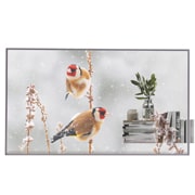 LG Transparent OLED, Front view with infill image, 55EW5P-M, thumbnail 1