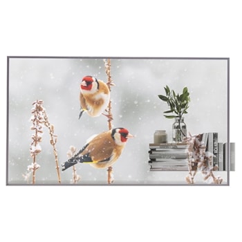 Front view with infill image1