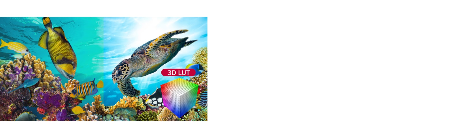 The left screen shows an underwater scene that appears muted due to murky colors, while the OLED Pro display on the right, which supports 3D LUT, delivers a more vivid and accurate representation of the underwater environment.