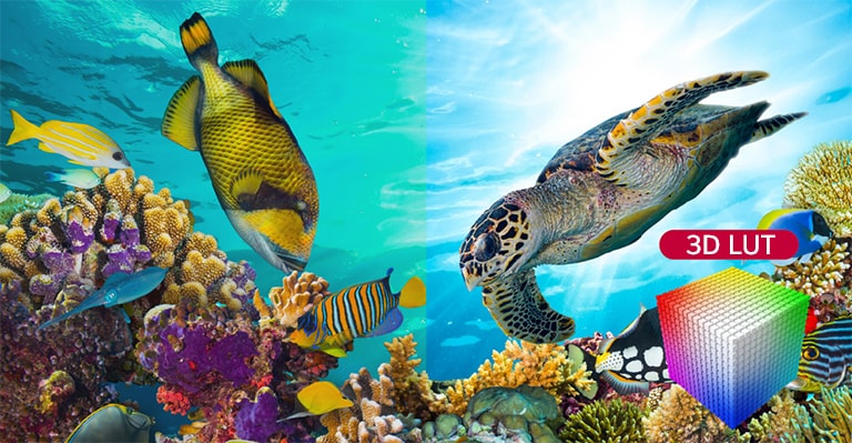 The left screen shows an underwater scene that appears muted due to murky colors, while the OLED Pro display on the right, which supports 3D LUT, delivers a more vivid and accurate representation of the underwater environment.