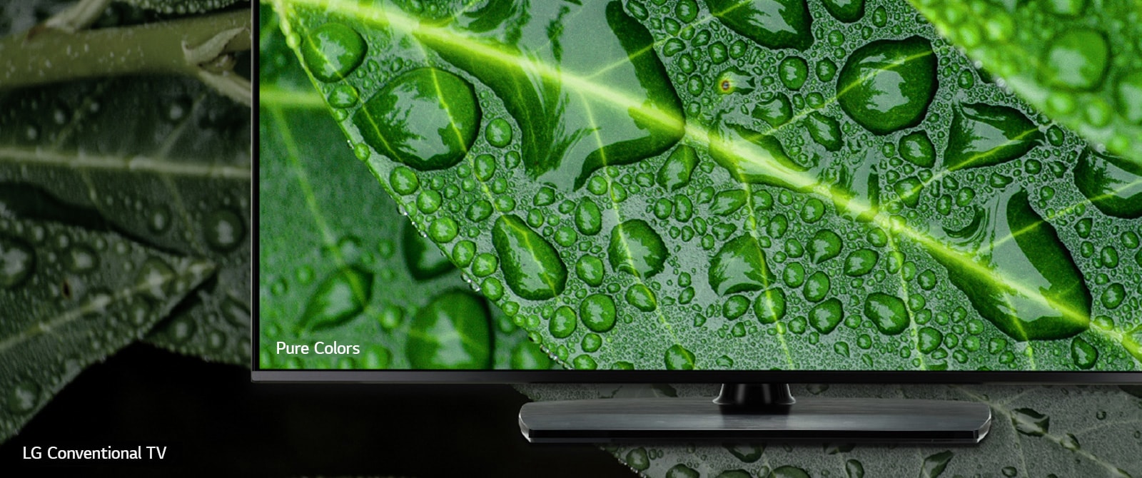 The comparison between NanoCell TV and LG Conventional TV, screening dews on a leaf.