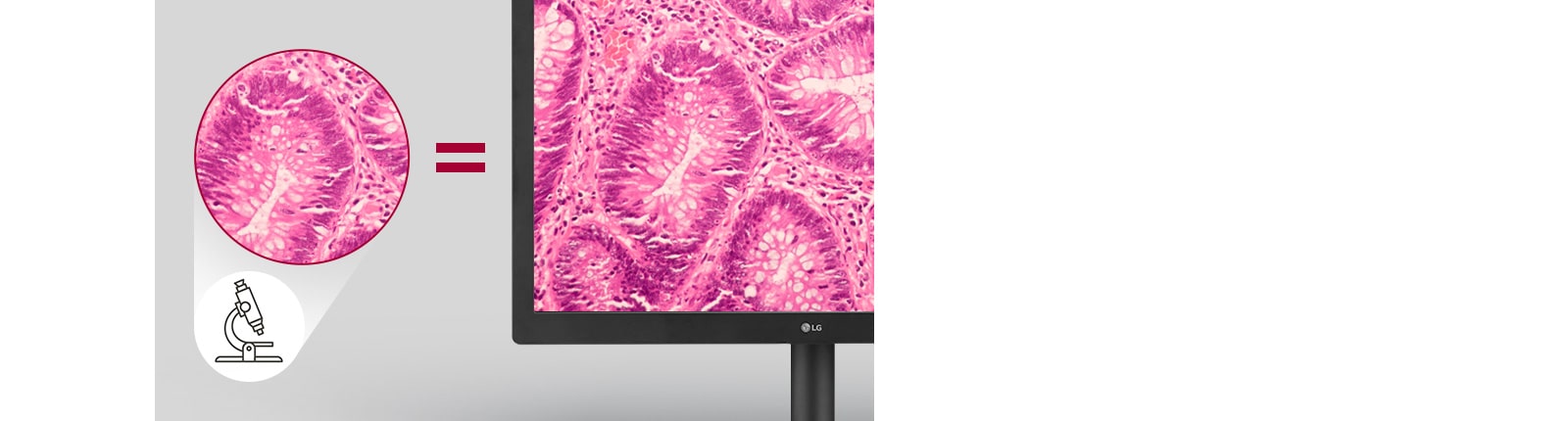 Just Like Looking at a Microscope