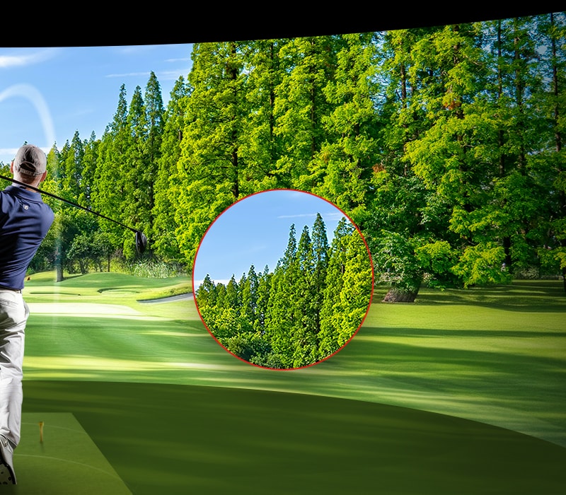 A vivid golf course scene with a zoomed-in section of trees, showing sharp details and bright greens, demonstrating LG ProBeam’s 4K clarity.	
