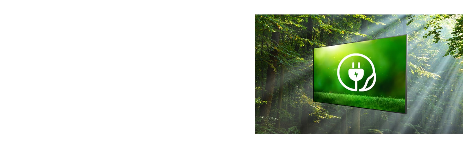 Environmental Certifications1