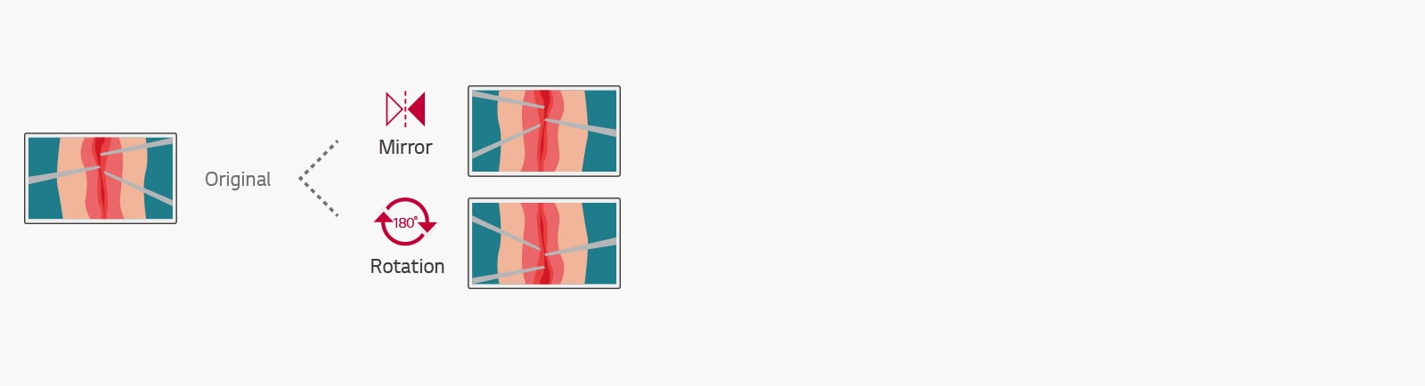 Conveniently flip and rotate the monitor to adjust to your needs. Mirror & Rotation Modes allow you to select a convenient 180° rotated/mirror image.