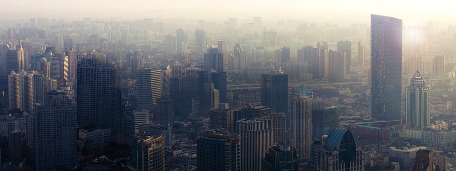 Global Service Network